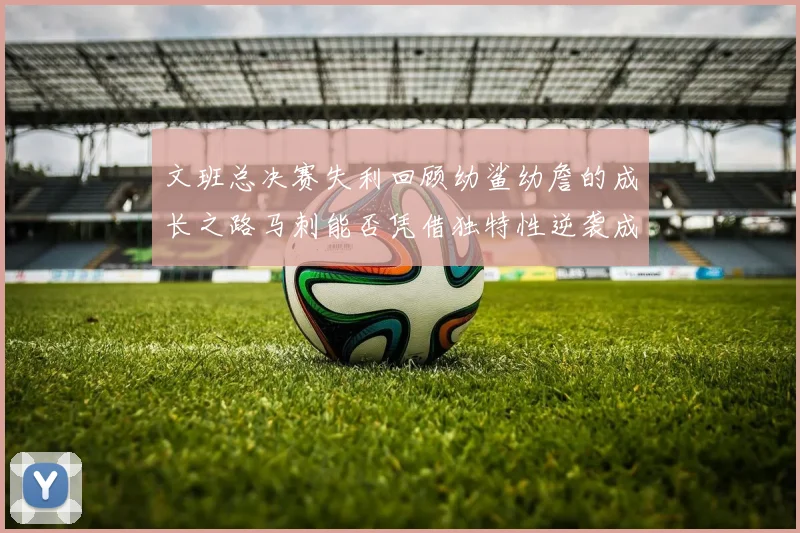 文班总决赛失利回顾幼鲨幼詹的成长之路马刺能否凭借独特性逆袭成功