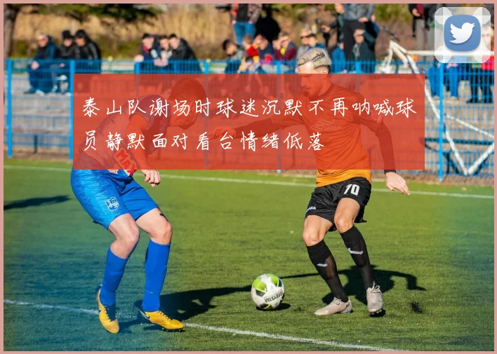 泰山队谢场时球迷沉默不再呐喊球员静默面对看台情绪低落