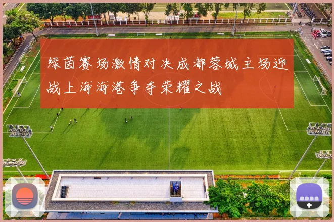 绿茵赛场激情对决成都蓉城主场迎战上海海港争夺荣耀之战